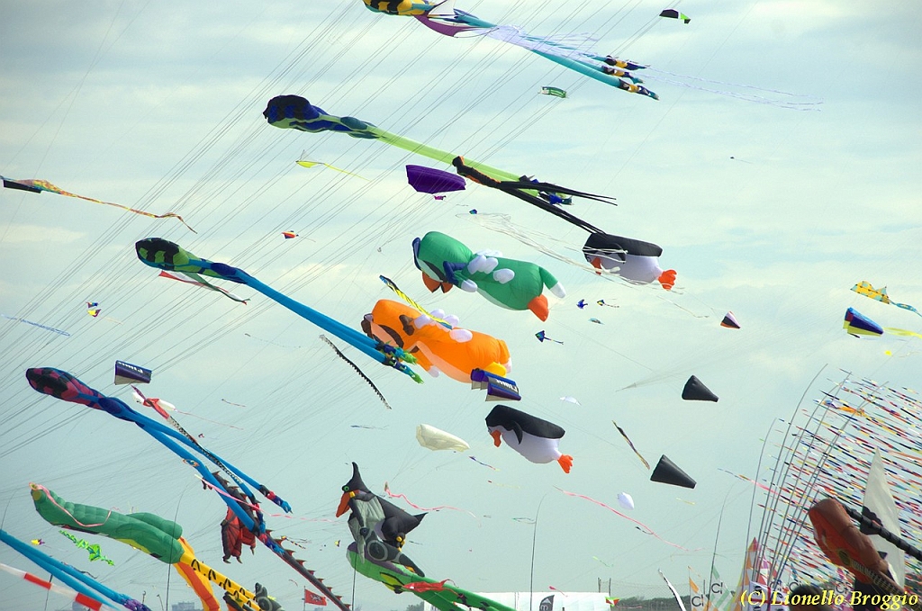 32 FESTIVAL CERVIA 2012 - 268.jpg